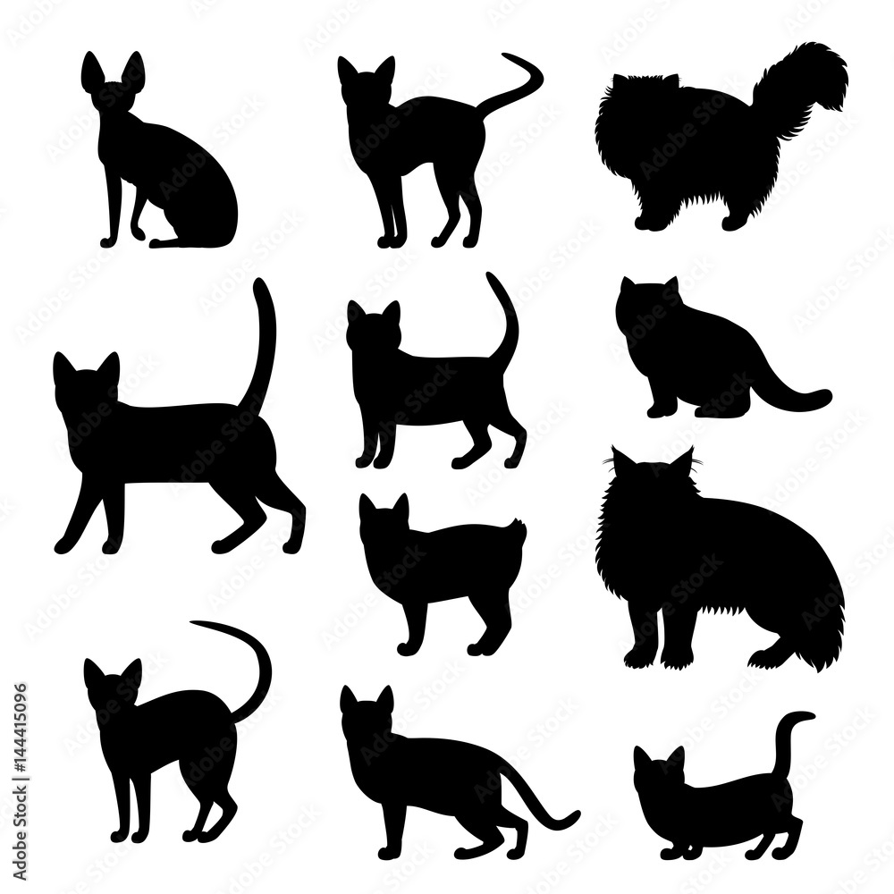 cats silhouette set