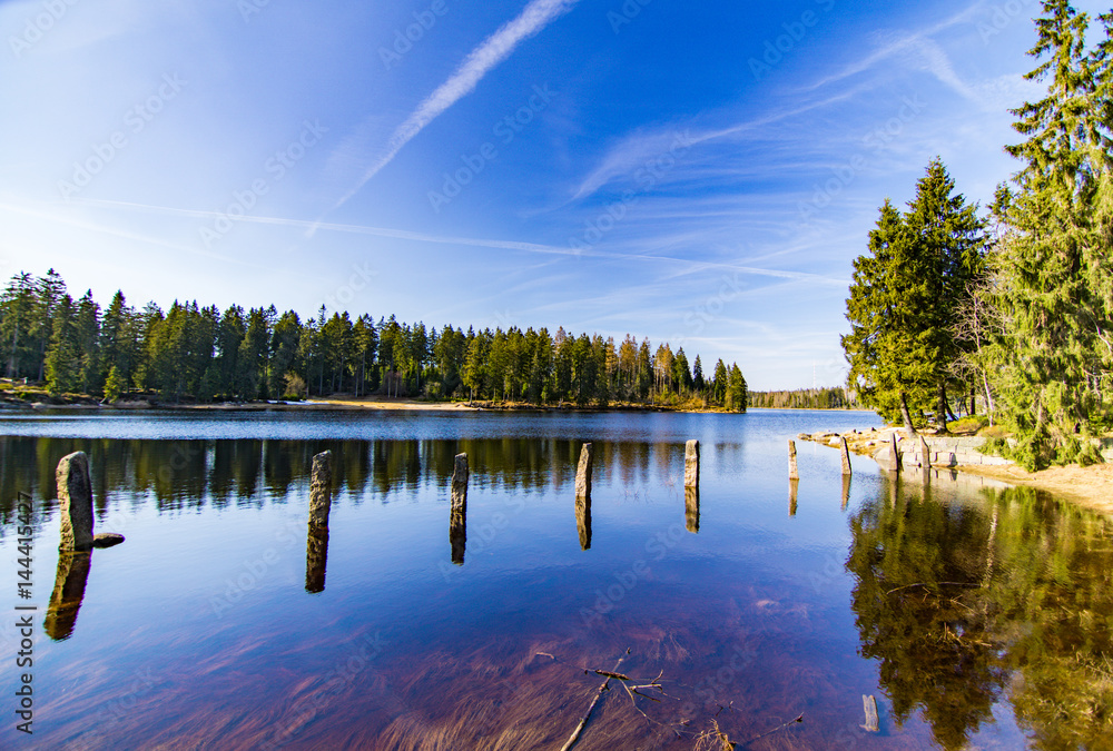 Obraz premium Oderteich mit blauen Himmel Wasser und Bäumen im Harz