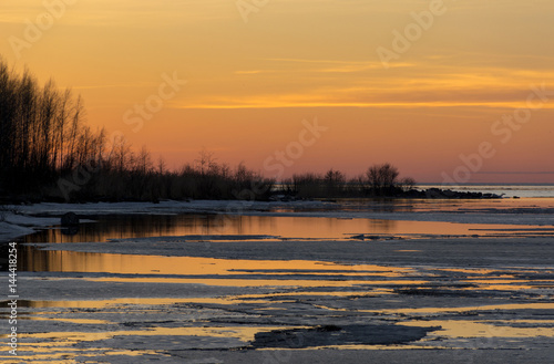 shrubs, trees reflected in the water of the Gulf of Finland, ice, sunset