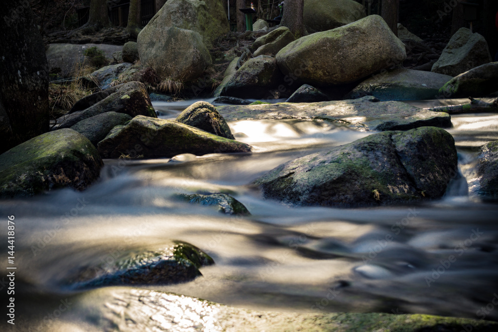 Fototapeta premium Verlobungsinsel an der Okertalsperre im Oberharz
