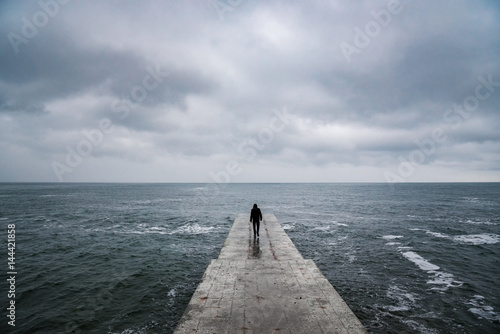 Fotografie, Obraz Back view portrait of young man goes to sea on pier