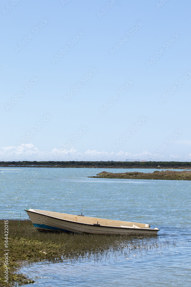 Fototapeta premium Beautiful marshlands
