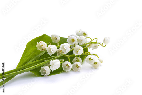 Muguet