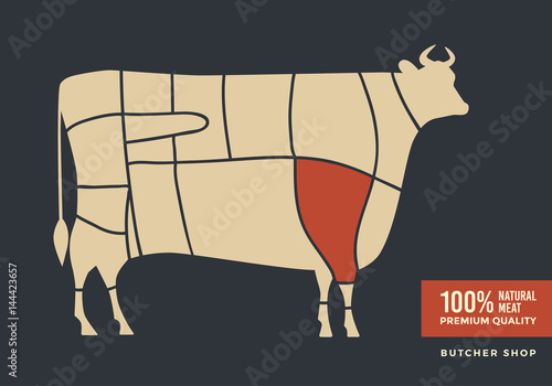 Cuts of beef. Poster with picture of cow, for butcher shop, farmer market.  Vector illustration.