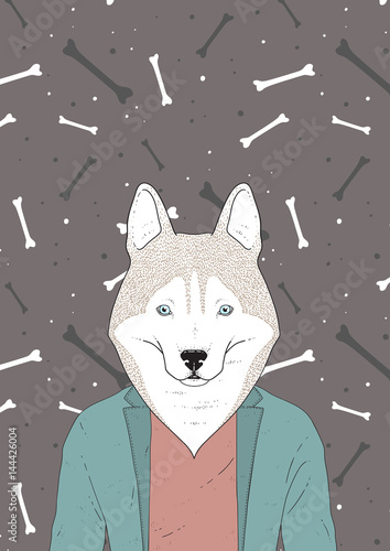 Vector illustration. Siberian husky dog, human body