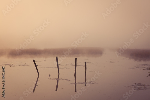 A misty morning by the lake. Horizontal. Space for text