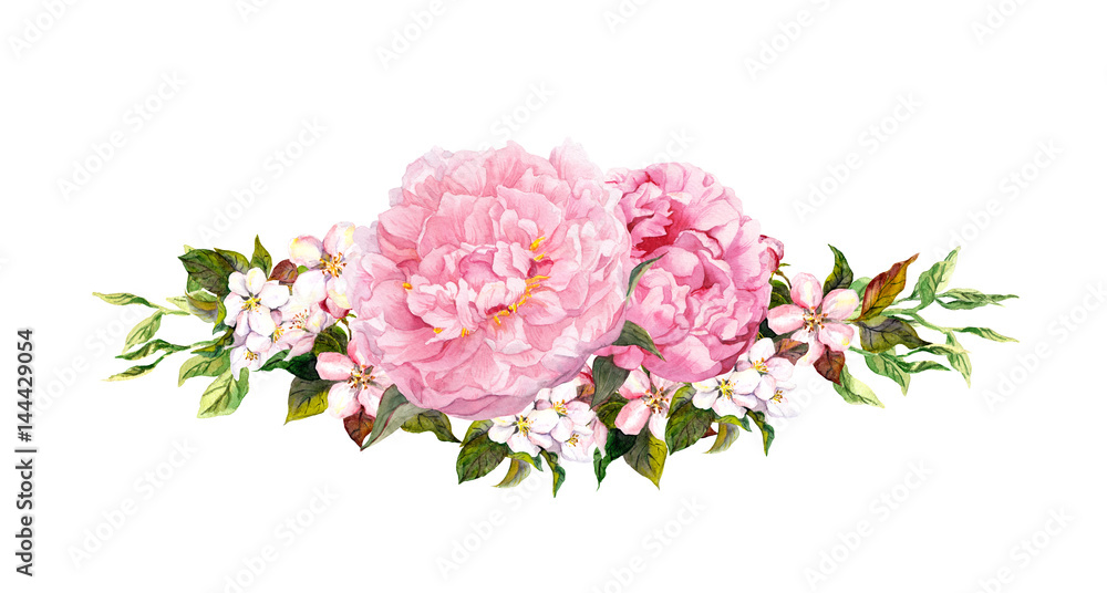 Pink peony flowers, white apple or cherry flowers. Watercolor in vintage style Pink peony flowers, white apple or cherry flowers. Watercolor in vintage style