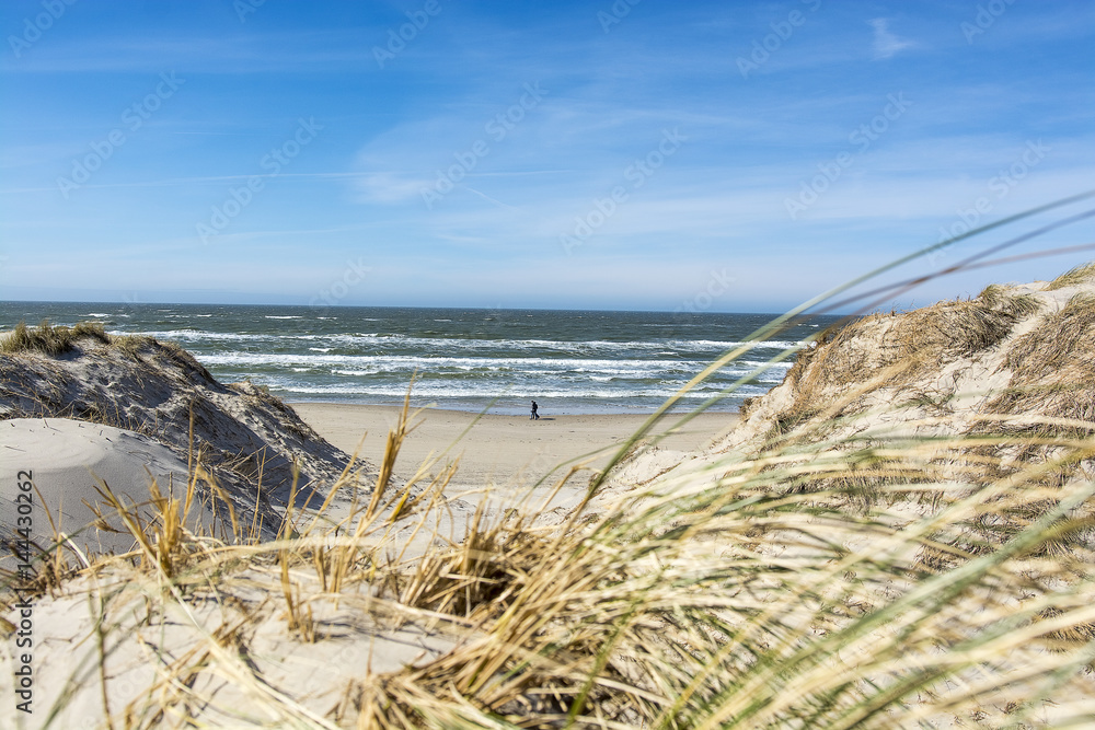 A picture postcard from the western coast of denmark in fresh sunny weather