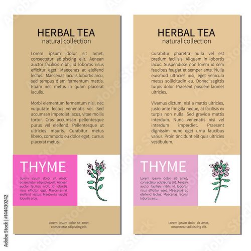 Set of vertical vintage labels with Thyme branch with leaves and flower, Designed vector frame, cards, sticker with space for text, for cosmetic, medicine, package tea, magazine, restaurant menu, page