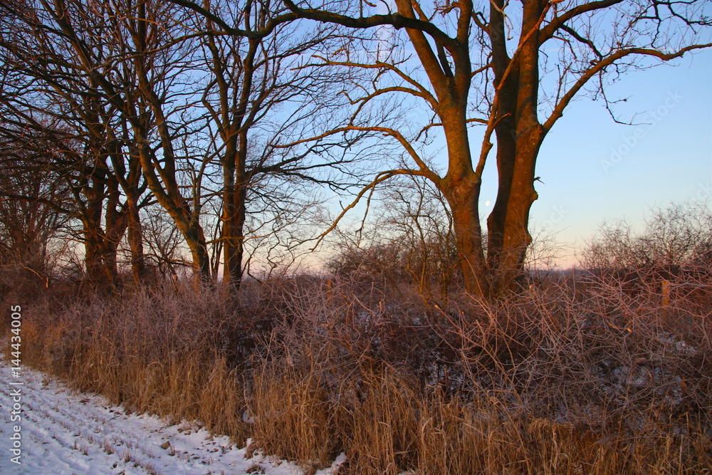 Early morning at sunrise so lovely Early morning at sunrise so lovely