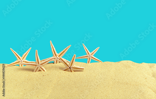 Starfish seashells on the Beach