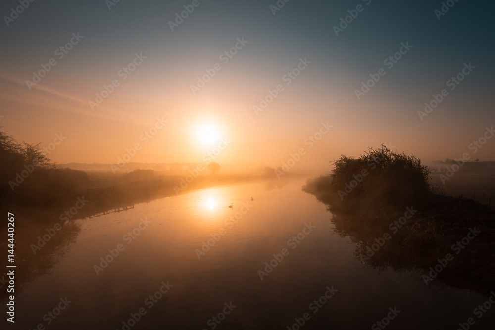 Two swans drifting along a misty river Nene at sunrise