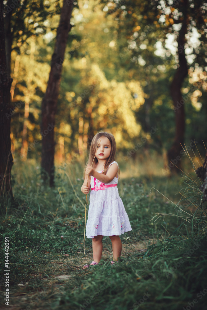 Charming little girl in a dress on a meadow Charming little girl in a dress on a meadow