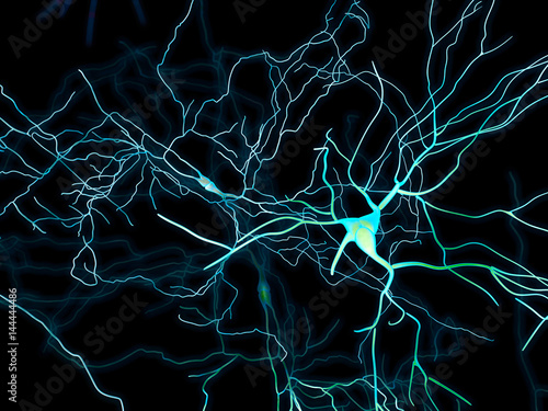 Cervello, neuroni, sinapsi, rete neurale, circuito di neuroni, malattie degenerative, Parkinson photo