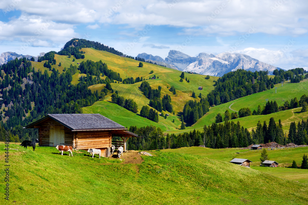 Seiser Alm, the largest high altitude Alpine meadow in Europe, stunning rocky mountains on the background. Seiser Alm, the largest high altitude Alpine meadow in Europe, stunning rocky mountains on the background.