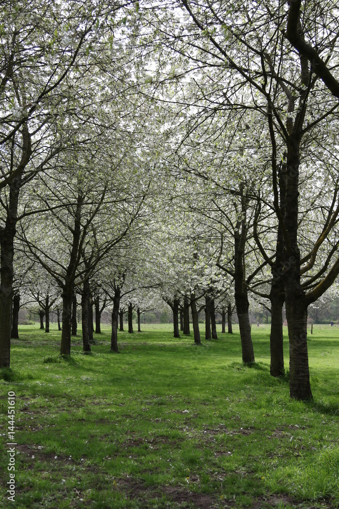 Hiroshima Gedenkhain Hannover