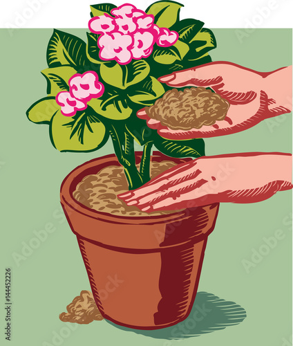 Female hands invasano a beautiful flowering plant.