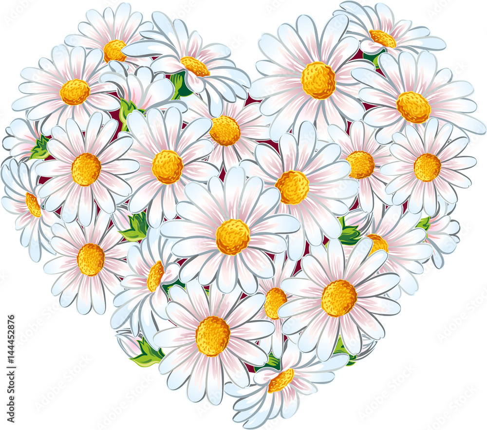 Obraz premium Heart of daisies in bloom.