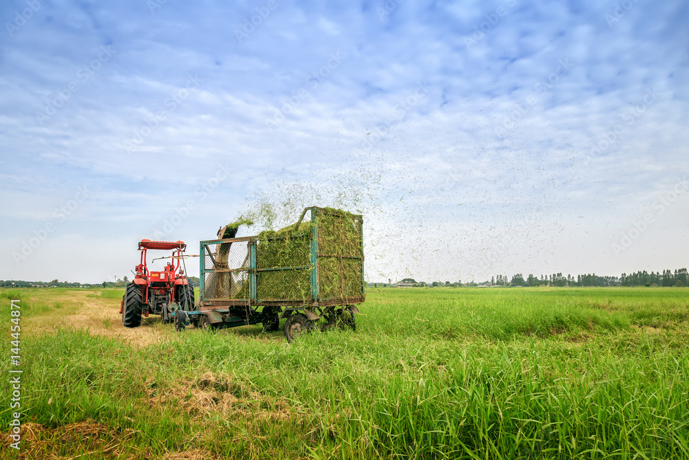 Tractor combine grass cutting. Tractor combine grass cutting.