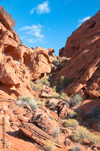 Red rock sandstone in the lake mead national recreation area  Nevada