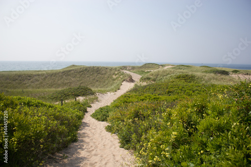 A sandy path leading to the beach