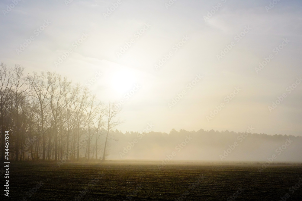 Misty countryside sunrise
