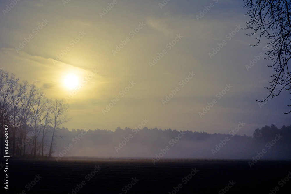 Naklejka premium Misty countryside sunrise