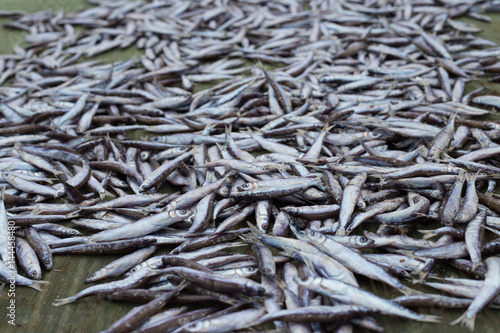 Fish drying on a rack in a fishing village in Africa