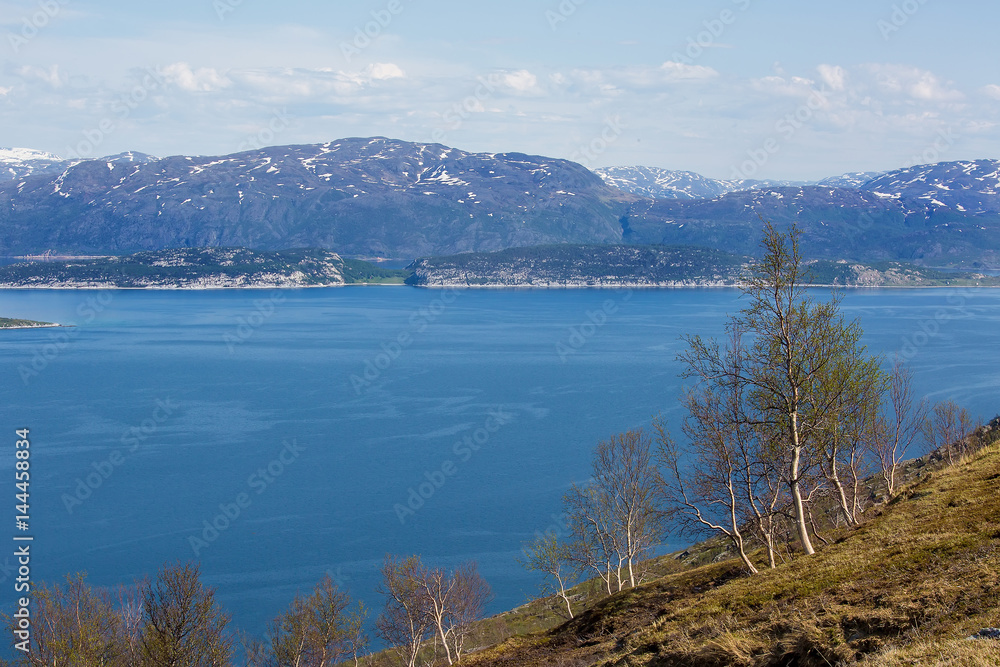 Fototapeta premium Northern Norway's countryside landscape of snowy and rocky mountains, aqua blue sea, and seaweed beach, during spring season