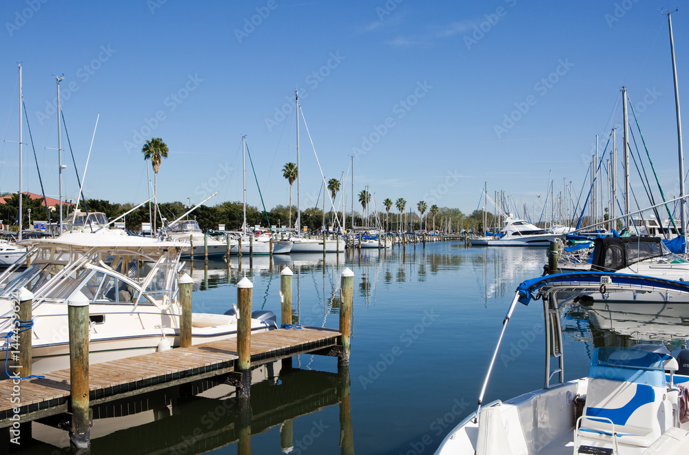 Yachts and sailboats are docked at the marina in St. Petersburg, Florida, USA.