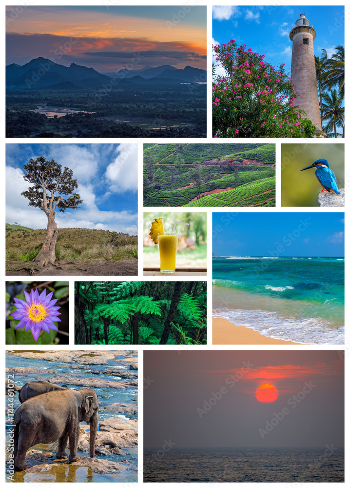 Sri Lanka travel collage