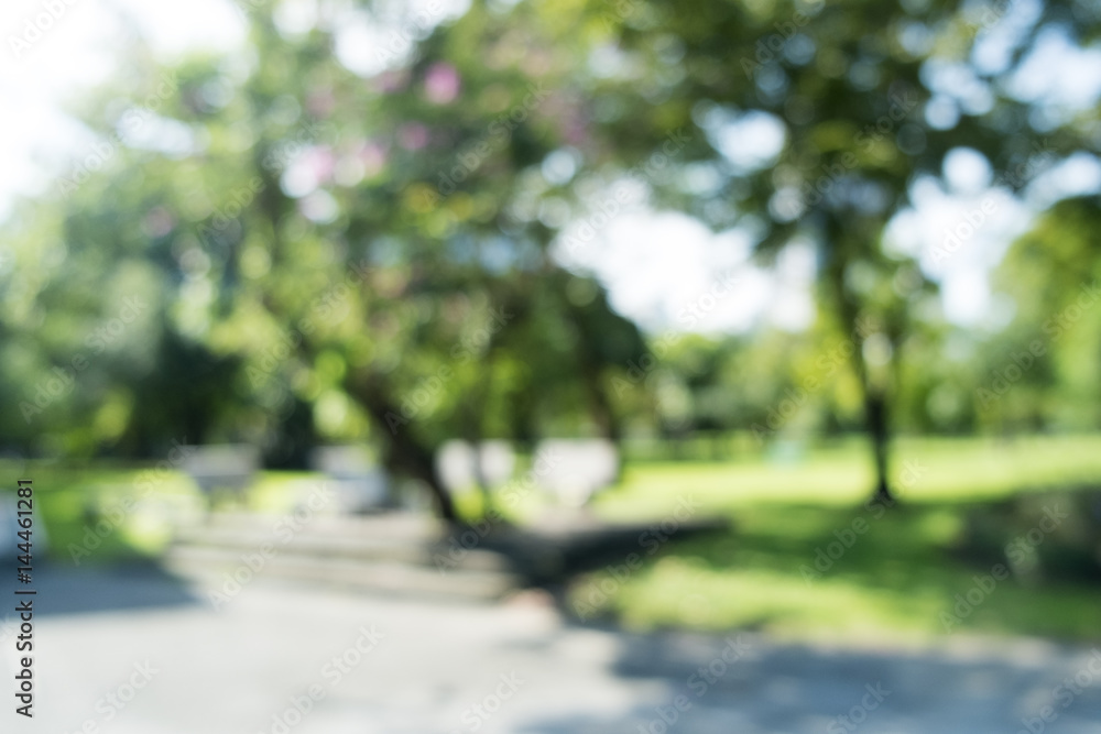 defocused bokeh background of garden trees in sunny day defocused bokeh background of garden trees in sunny day