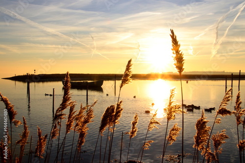 View from the reeds in February