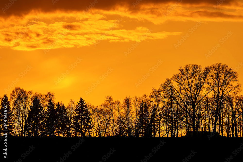 Fototapeta premium sunset sky clouds trees orange