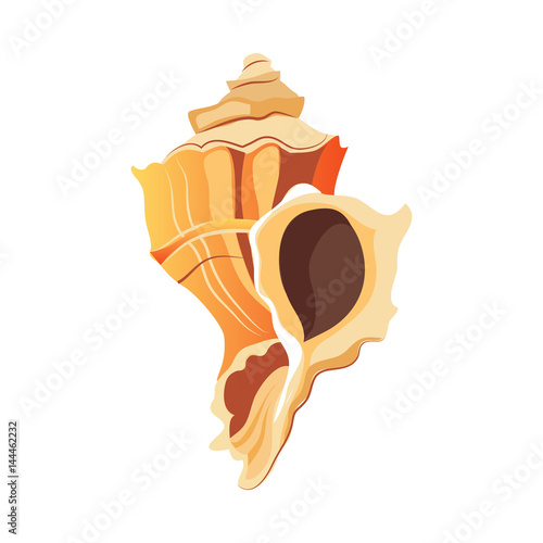 Rapana shell. An empty shell of a sea mollusk. Colorful cartoon illustration