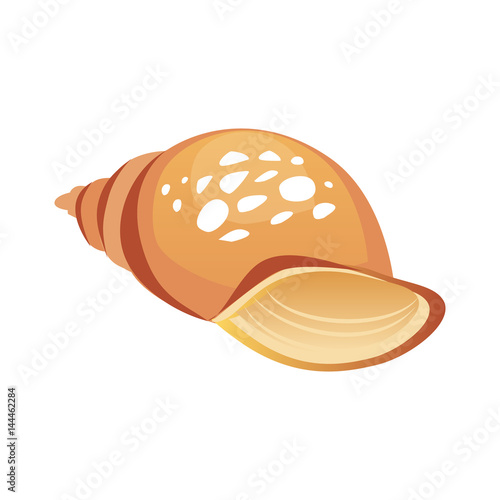 Brown sea spiral seashell, an empty shell of a sea mollusk. Colorful cartoon illustration