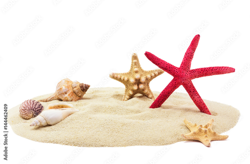 Sea shells on sand Sea shells on sand