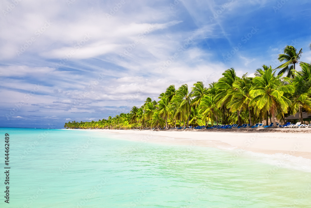 Coconut Palm trees on white sandy beach