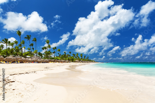 Coconut Palm trees on white sandy beach in Cap Cana, Dominican Republic © preto_perola