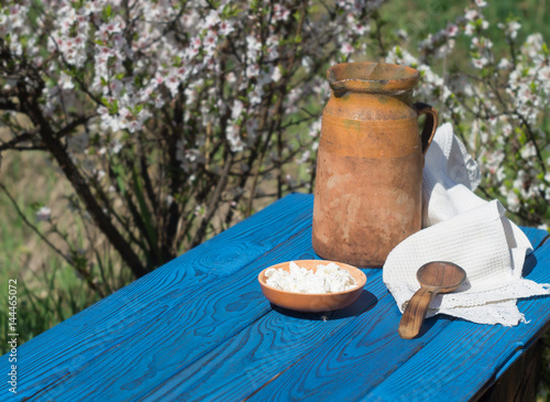 Clay jug and cottage cheese on a table of blue boards against the background of a flowering bush © natagolubnycha
