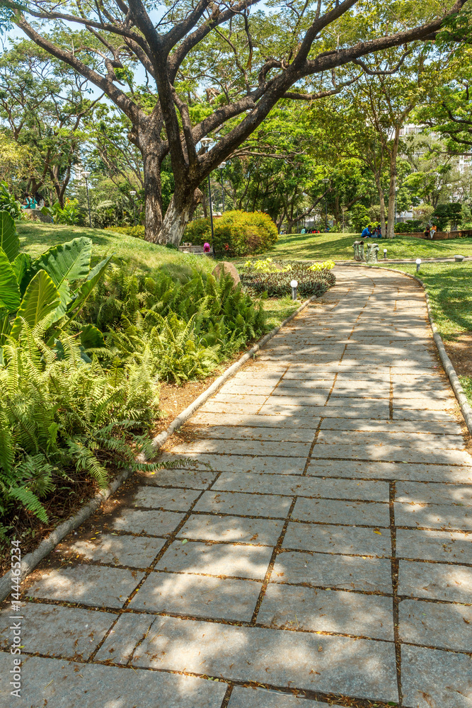 Wide view of green garden with grass, trees, plants, shadows and pathway, Chennai, Tamil nadu, India, Jan 29 2017 