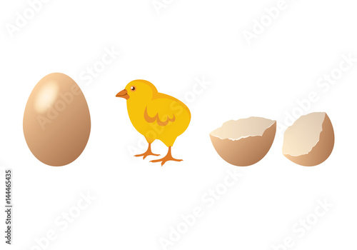 Chicken and egg vector. Cute chick hatching. Cartoon chicken. Easter illustration