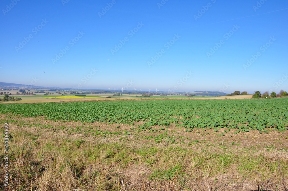 Obraz premium Calenberger Land