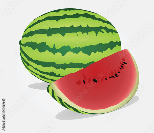 Watermelon vector