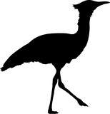 Silhouette of a wild kori bustard - digitally hand drawn vector silhouette, black isolated on white background