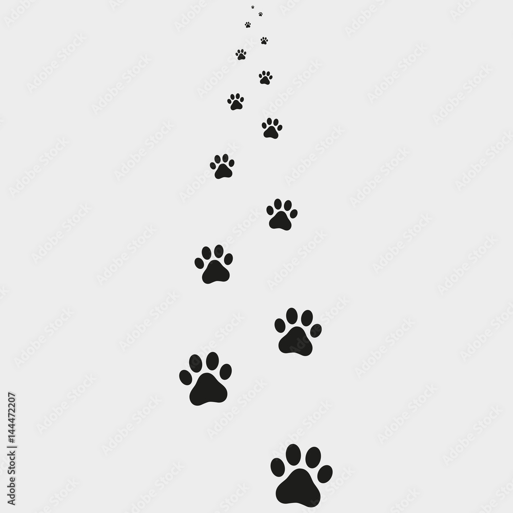 Traces of a dog on a gray background Traces of a dog on a gray background