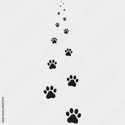 Traces of a dog on a gray background