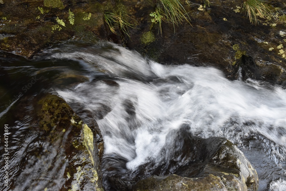 Obraz premium Madeira im Frühling