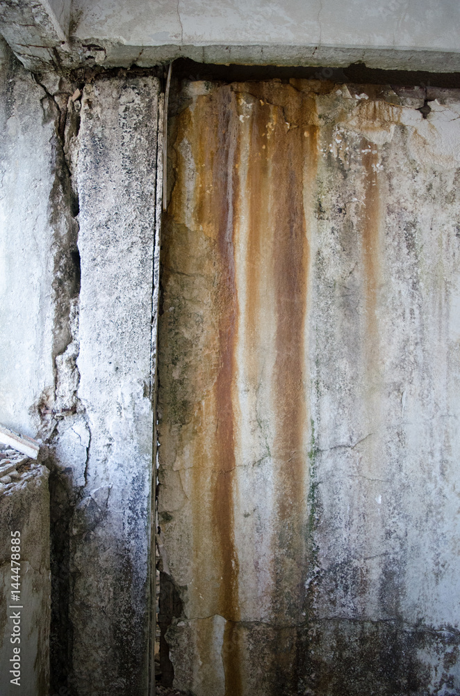 Mold damage wall abandoned Mold damage wall abandoned