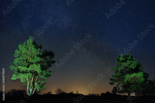 Night landscape of lonely trees against the background of the starry sky. © dzmitrock87